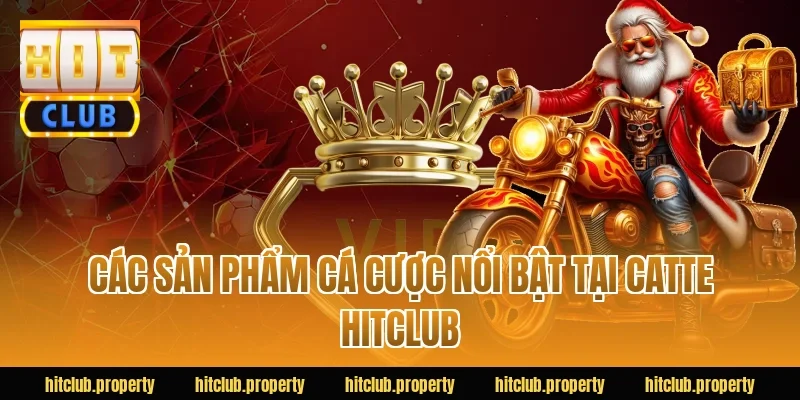 Các Sản Phẩm Cá Cược Nổi Bật Tại Catte HITCLUB