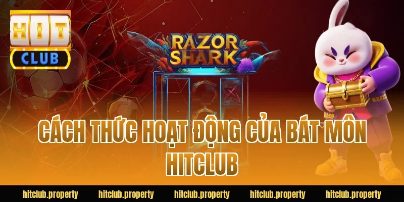 Cách thức hoạt động của bát môn HITCLUB