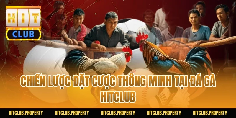 Chiến Lược Đặt Cược Thông Minh Tại Đá Gà HITCLUB
