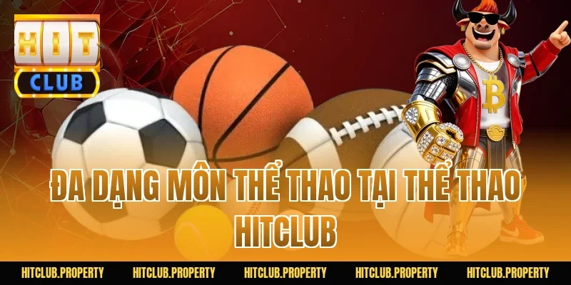 Đa Dạng Môn Thể Thao Tại Thể Thao HITCLUB