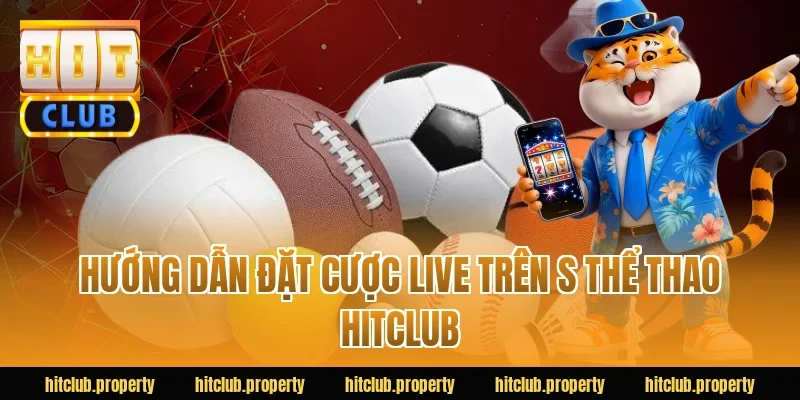 Hướng dẫn đặt cược live trên s thể thao HITCLUB