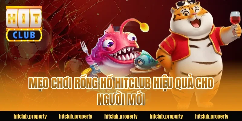 Mẹo chơi rồng hổ HITCLUB hiệu quả cho người mới