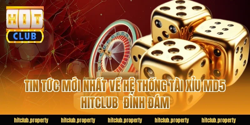 Tin tức mới nhất về hệ thống tài xỉu md5 HITCLUB  đình đám